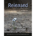 Released: Overcoming Sexual Trauma Workbook