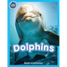 Dolphins!