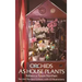 Orchids as House Plants