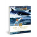 50 Bible Stories Every Adult Should Know: Volume 1: Old Testament Volume 1