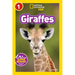 Giraffes (National Geographic Kids Readers, Level 1)