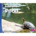 Life in a Pond