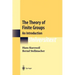 The Theory of Finite Groups: An Introduction