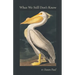 What We Still Don't Know