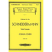Cadenza for the Schneidermann Violin Concerto
