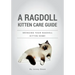 A Ragdoll Kitten Care Guide: Bringing Your Ragdoll Kitten Home