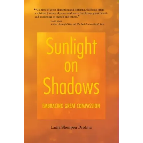 Sunlight on Shadows: Embracing Great Compassion