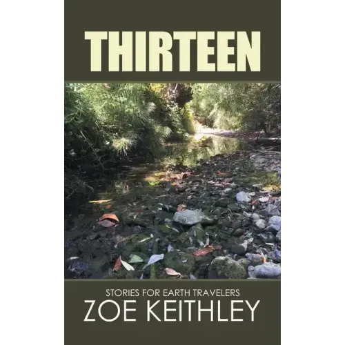 Thirteen: Stories for Earth Travelers