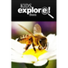 Bees - Kids Explore: Animal books nonfiction - books ages 5-6