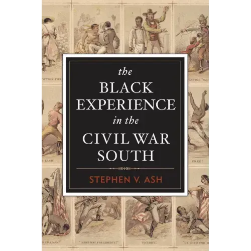 The Black Experience in the Civil War South