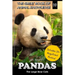 Pandas: The Large Bear Cats (includes 20+ magnificent photos!)