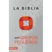 Biblia Para Grupos Pequeños - Nbv Rústica