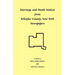 Marriage and Death Notices from Schuyler County, New York Newspapers