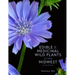 Edible and Medicinal Wild Plants of the Midwest