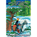 Sir Gawaine and the Green Knight: The Quest