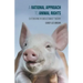 A Rational Approach to Animal Rights: Extensions in Abolitionist Theory