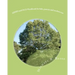 ADHD and OCD Workbook for kids, parents and teachers too