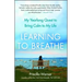 Learning to Breathe: My Yearlong Quest to Bring Calm to My Life