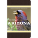 American Birding Association Field Guide to Birds of Arizona: Second Edition