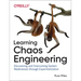 Learning Chaos Engineering: Discovering and Overcoming System Weaknesses Through Experimentation