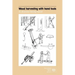 Wood harvesting with hand tools. An illustrated training manual