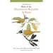 Field Guide to the Birds of the Dominican Republic and Haiti