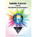Subtle Energy and the World We Experience