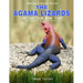 The Agama Lizard: Do Your Kids Know This?: A Children's Picture Book