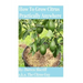 How To Grow Citrus Practically Anywhere