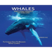 Whales, Library Edition Hardcover: The Complete Guide for Beginners