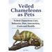 Veiled Chameleons as Pets. Veiled Chameleon Care, Behavior, Diet, Interaction, Costs and Health.