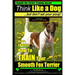 Smooth Fox Terrier Training AAA AKC Think Like a Dog - But Don't Eat Your Poop!: Smooth Fox Terrier Breed Expert Training - Here's EXACTLY How To TRAI