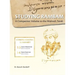 Studying Rambam. A Companion Volume to the Mishneh Torah.: Comprehensive Summary Volume 8.