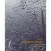Introductory Physics: A Model Approach