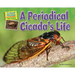 A Periodical Cicada's Life