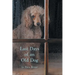 Last Days of an Old Dog