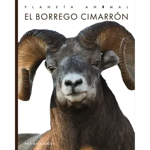 El Borrego Cimarrón