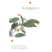 The Mandarin Tree