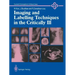 Imaging and Labelling Techniques in the Critically Ill