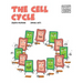 The Cell Cycle