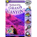The Ghost of the Grand Canyon