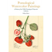 Pomological Watercolor Paintings