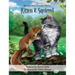 Kitten & Squirrel