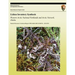 Lichen Inventory Synthesis Western Arctic National Parklands and Arctic Network, Alaska