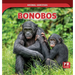 Bonobos