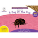 C-DER (Cheetah Decodable & Early Readers) Set 4, Book 34, A Bug On the Rug