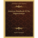 American Handbook Of The Daguerreotype