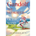 Gandolf The Skysurfer of the West