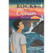 Rocks in the Ocean: Don't Forget Me