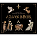 A Savior Is Born: Rocks Tell the Story of Christmas